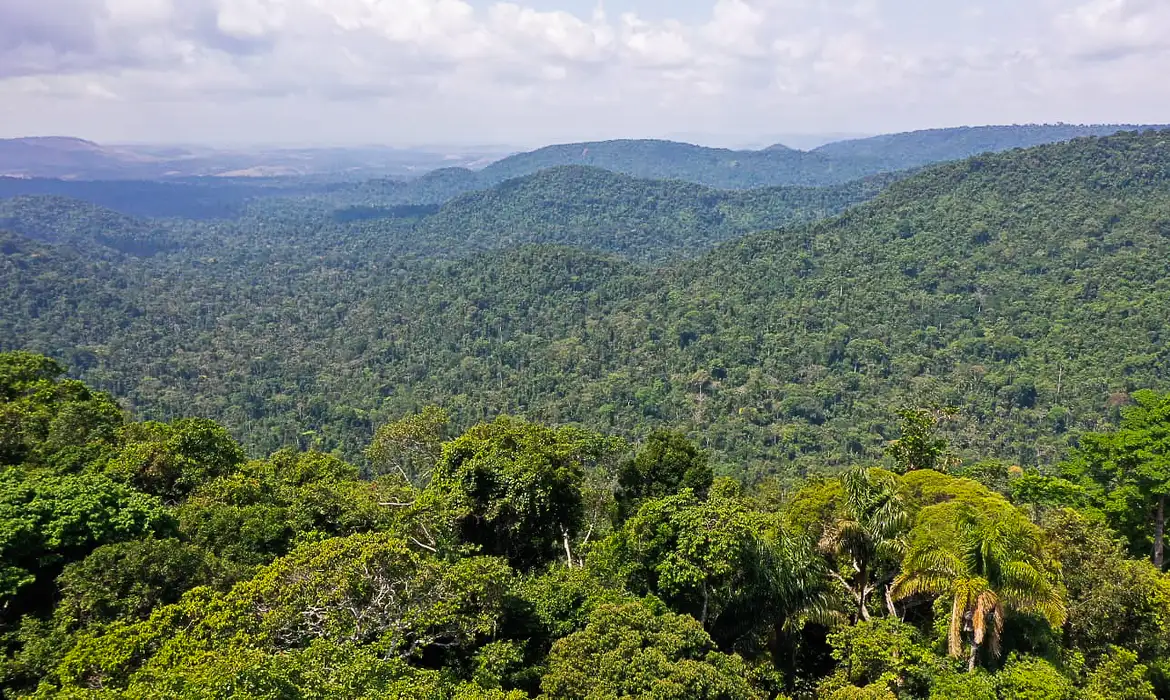 Proteção ambiental na BR-319 é ampliada com quatro novas reservas no Amazonas.