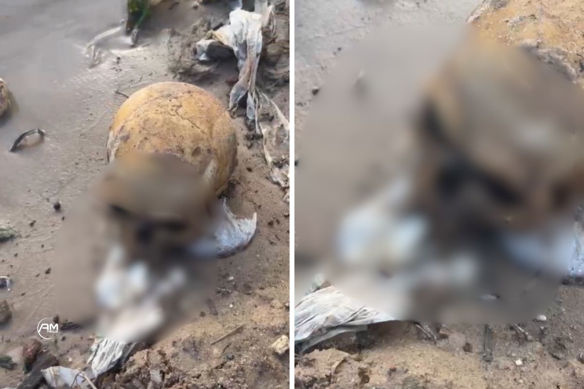 Área de obra próxima à Feira da Manaus Moderna, no Centro de Manaus, onde trabalhadores encontraram um crânio humano.